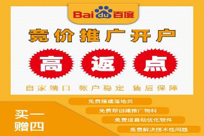 案例研究：竞价广告助力电商行业增长